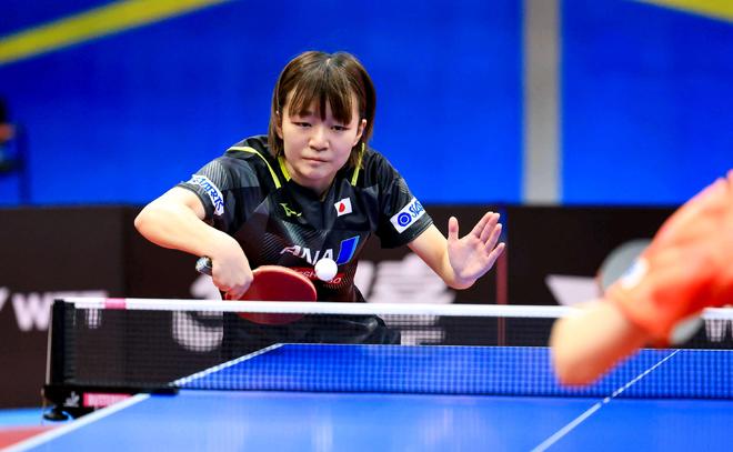 严格的康复 严格的康复