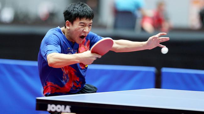 布鲁克林球 布鲁克林球