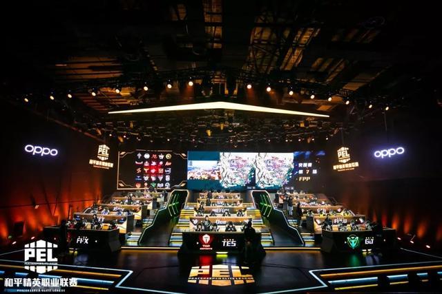 草地场地的 草地场地的