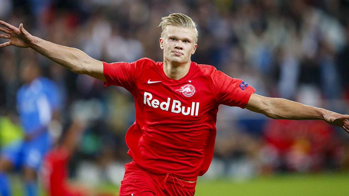 夏普率仅微 夏普率仅微