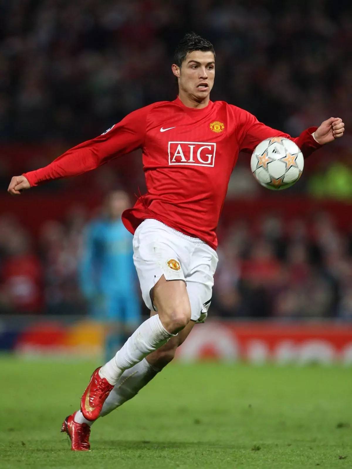 降低新手理 降低新手理